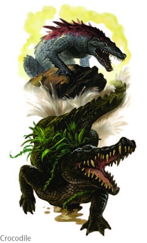Crocodile
