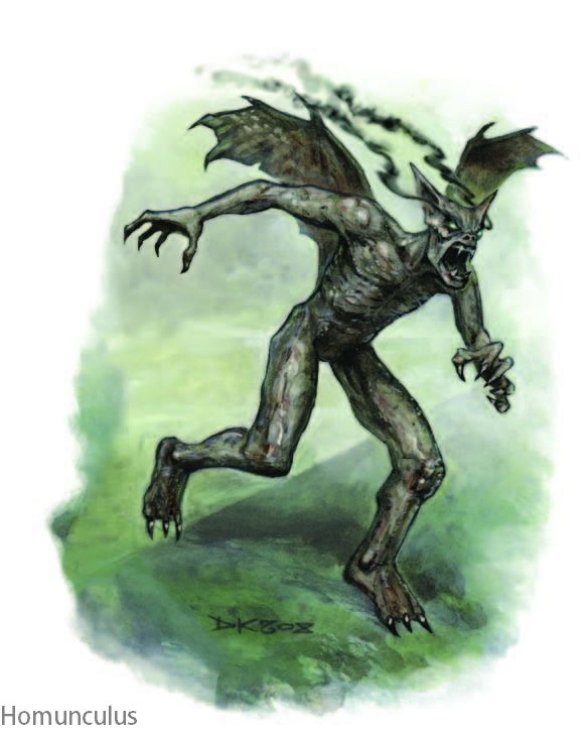 Homunculus