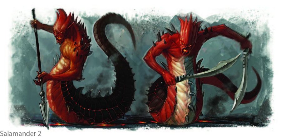 Salamander