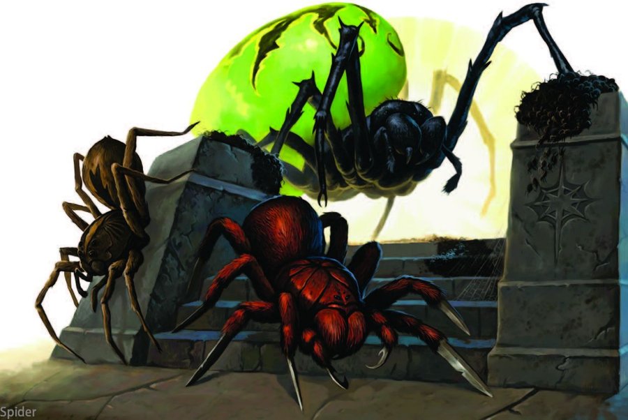 Spider