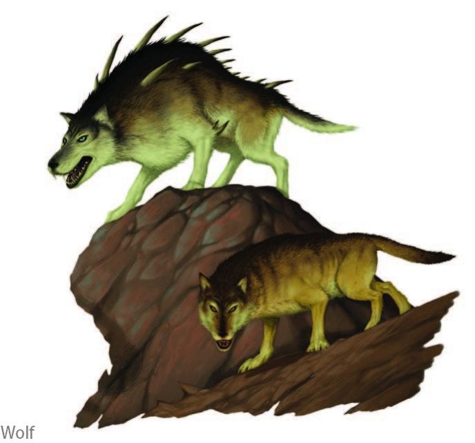 Wolf